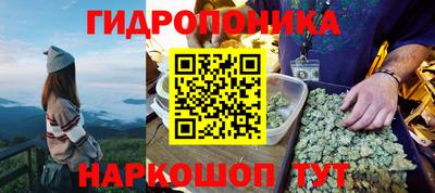 трава Камышлов