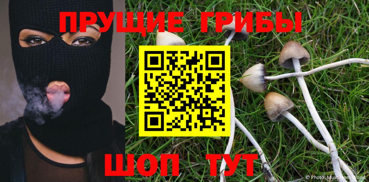 Галлюциногенные грибы GOLDEN TEACHER Кропоткин